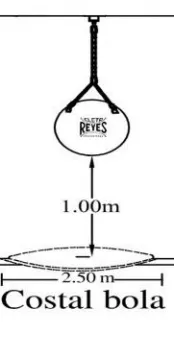 Cleto Reyes E535 sacco boxe palla vinile pieno 30 kg