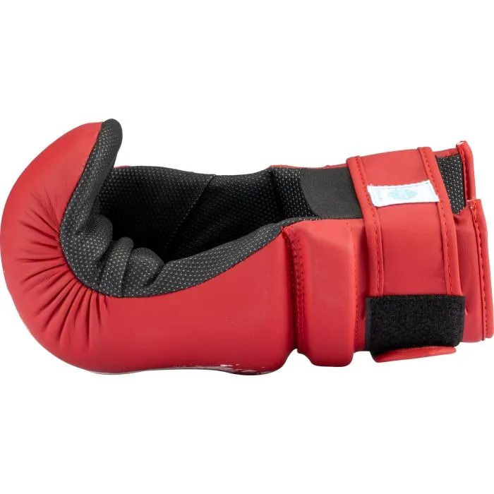 TOP TEN Power Ink Pointfighter guantini semi-contact