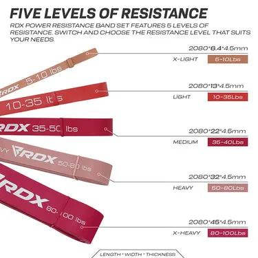 RDX MP 5-in-1 Bande Elastiche Resistenza Lattice