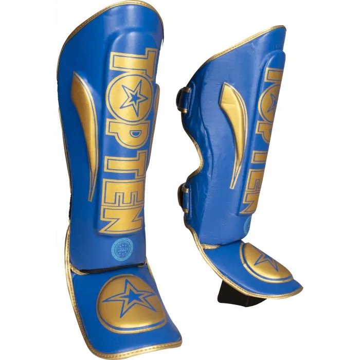 TOP TEN Star Light WAKO paratibie kickboxing