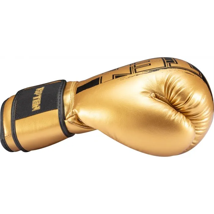 TOP TEN Power Ink Golden Star guantoni boxe