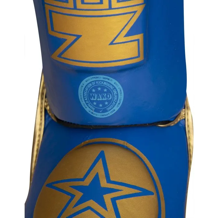 TOP TEN Star Light WAKO paratibie kickboxing