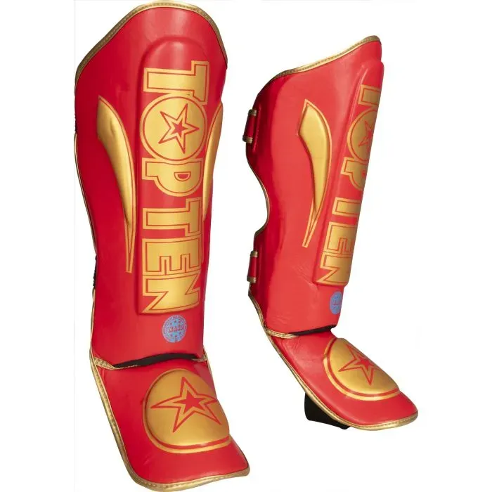 TOP TEN Star Light WAKO paratibie kickboxing