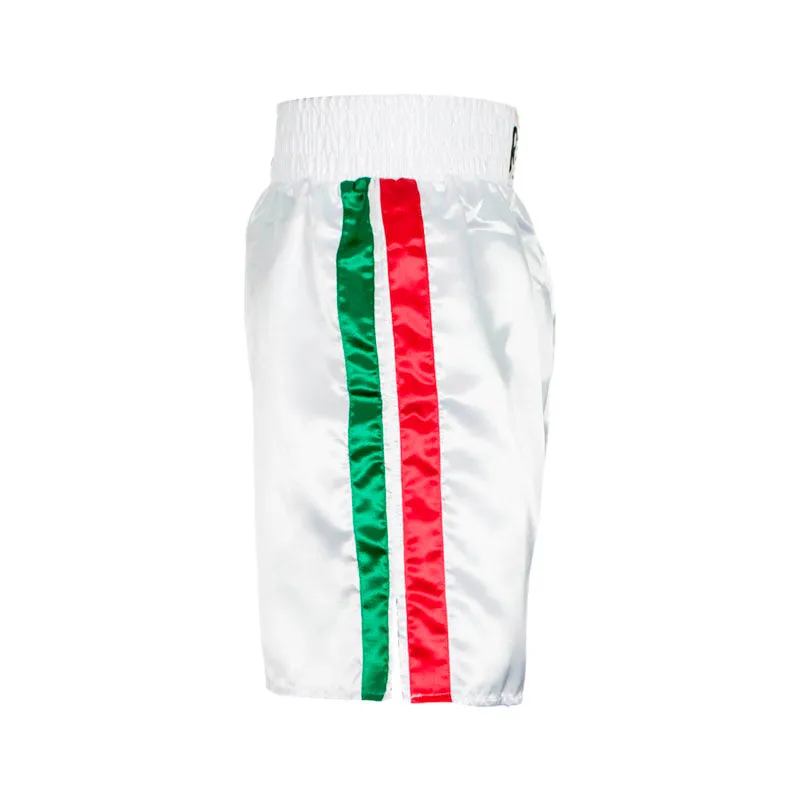 Cleto Reyes Professional short boxe tricolor in satin leggero