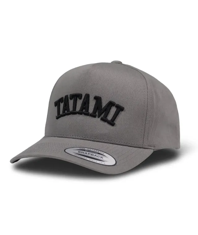 Tatami Embroidered Snapback cappellino grigio cotone