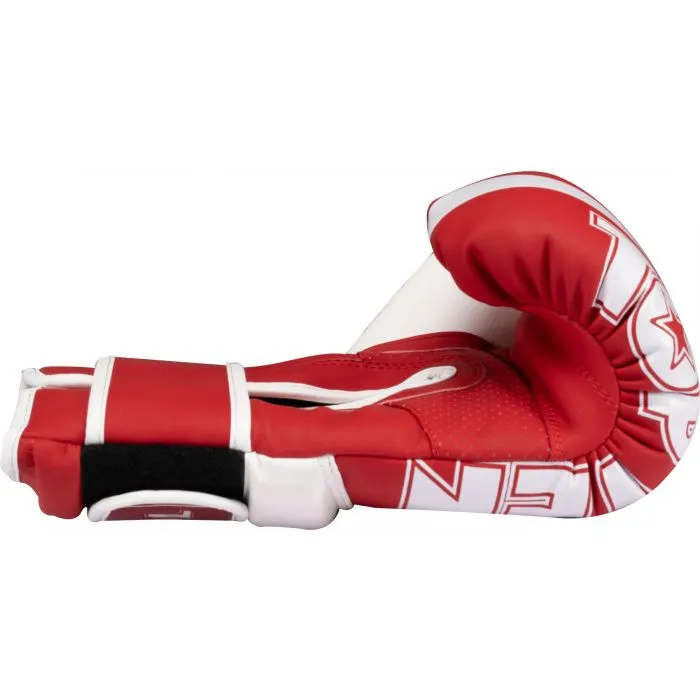 TOP TEN WAKO NTB Marks guantoni boxe microfibra