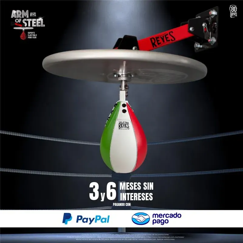 Cleto Reyes Arm of Steel Kit Pera Supporto + Swivel