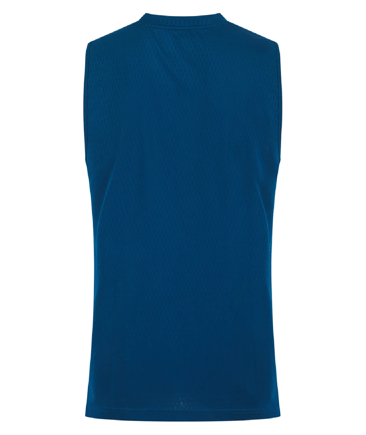 Tatami Active Dry Fit canotta fitness blu uomo