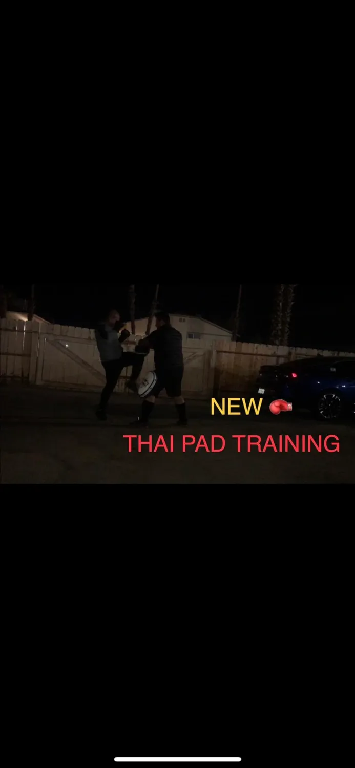 Farabi Kick Shield scudo muay thai curvo pelle sintetica