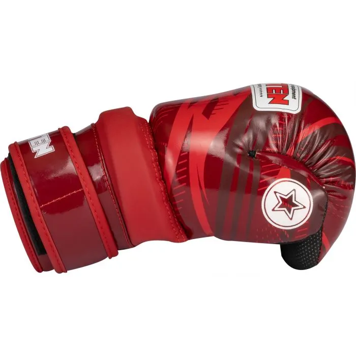 Top Ten Legacy25 guanti pointfighter kickboxing