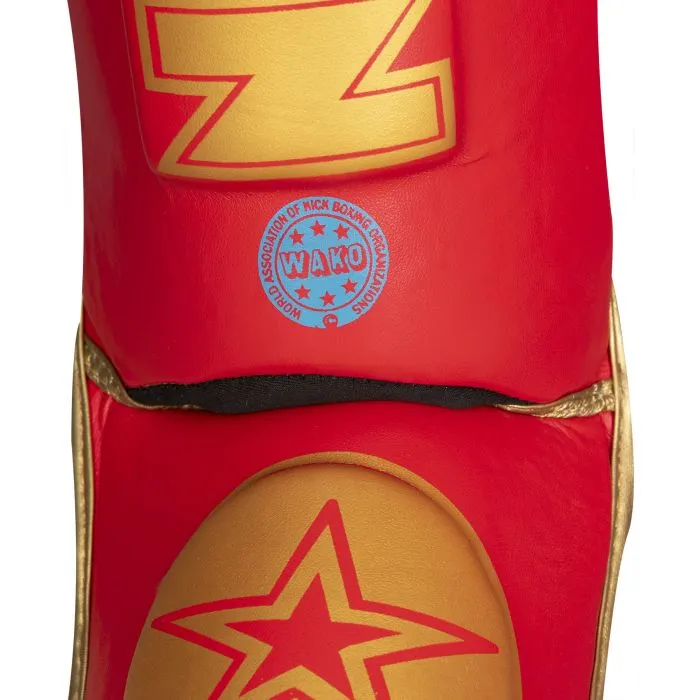 TOP TEN Star Light WAKO paratibie kickboxing