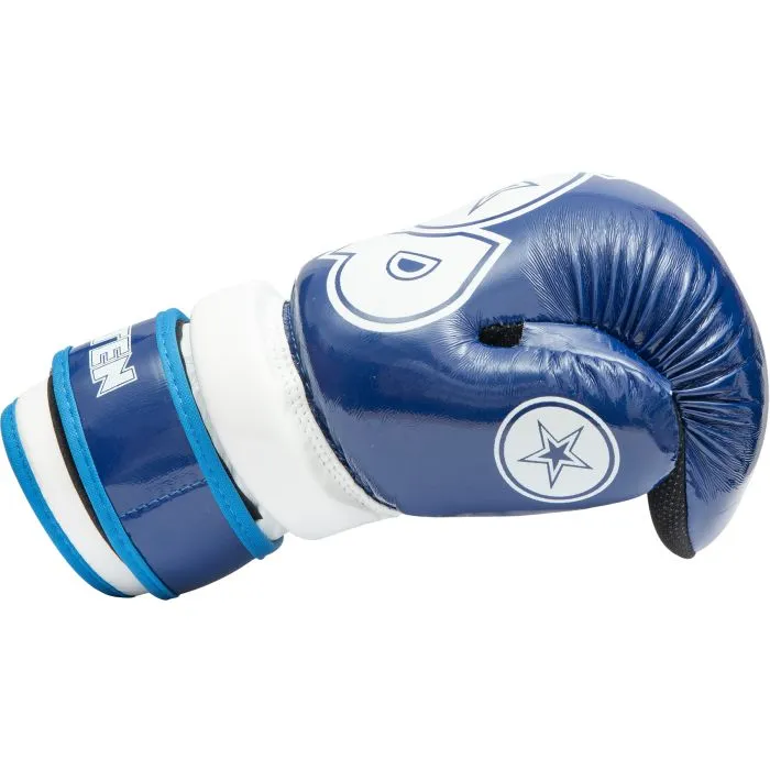TOP TEN Glossy Block guanti pointfighter kickboxing